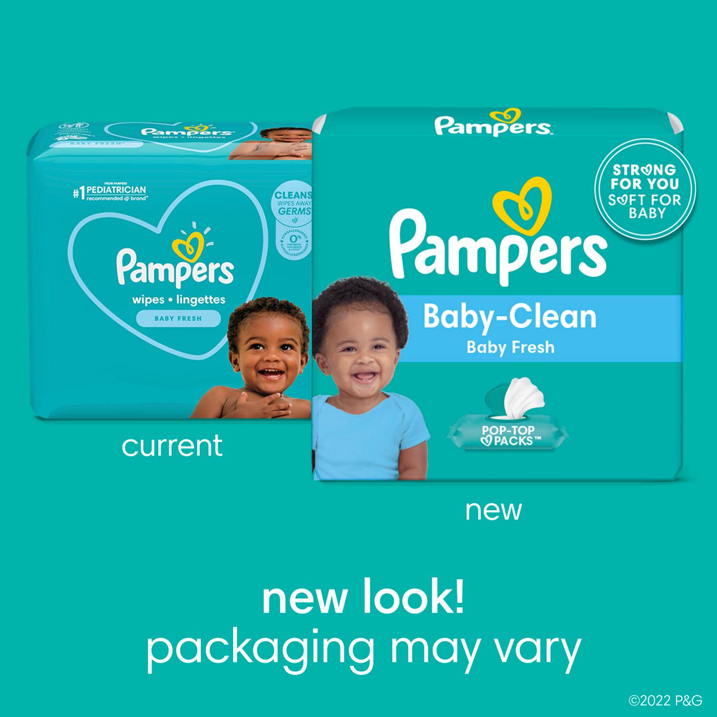 Pampers Baby Clean Baby Wipes - Fresh Scented  12 pk; image 9 of 9