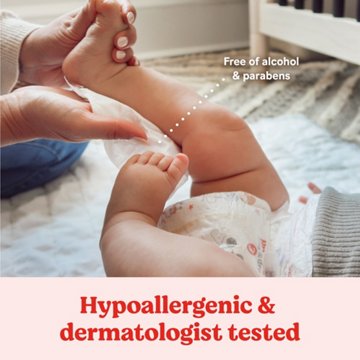 Huggies Simply Clean Baby Wipes - Fresh Scent, 64 ct