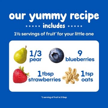Happy Baby Organics Digestive Support Blends Pouch - Pear, Blueberry, Strawberry & Oat