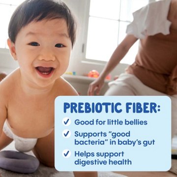 Happy Baby Organics Digestive Support Blends Pouch - Pear, Blueberry, Strawberry & Oat