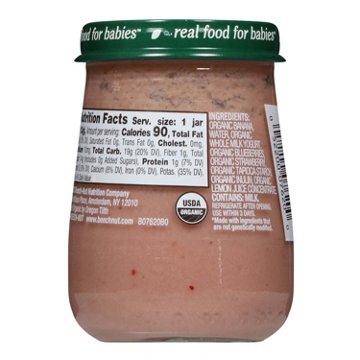 Beech-Nut Organics Stage 2 with Prebiotics Baby Food - Banana Berry
