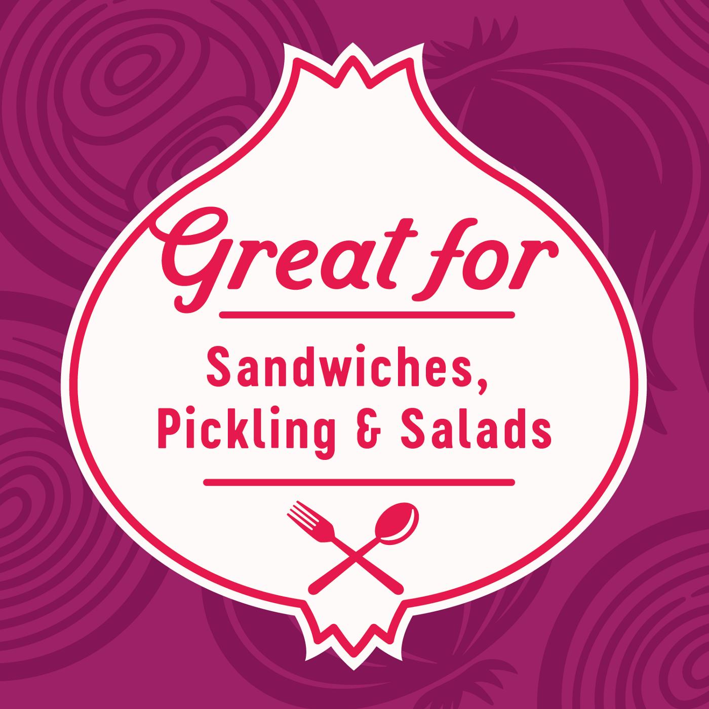 H-E-B Texas Roots Fresh Organic Red Onions; image 2 of 2