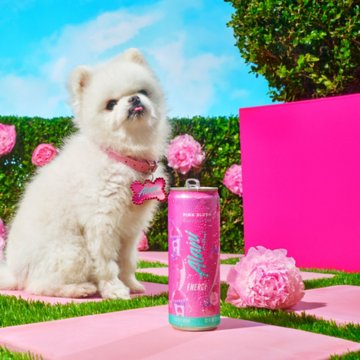Alani Nu Zero Sugar Energy Drink - Pink Slush