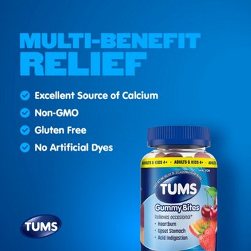 Tums Gummy Bites Dietary Supplement for Occasional Heartburn Relief, Upset Stomach and Acid Indigestion, Assorted Fruit Flavors