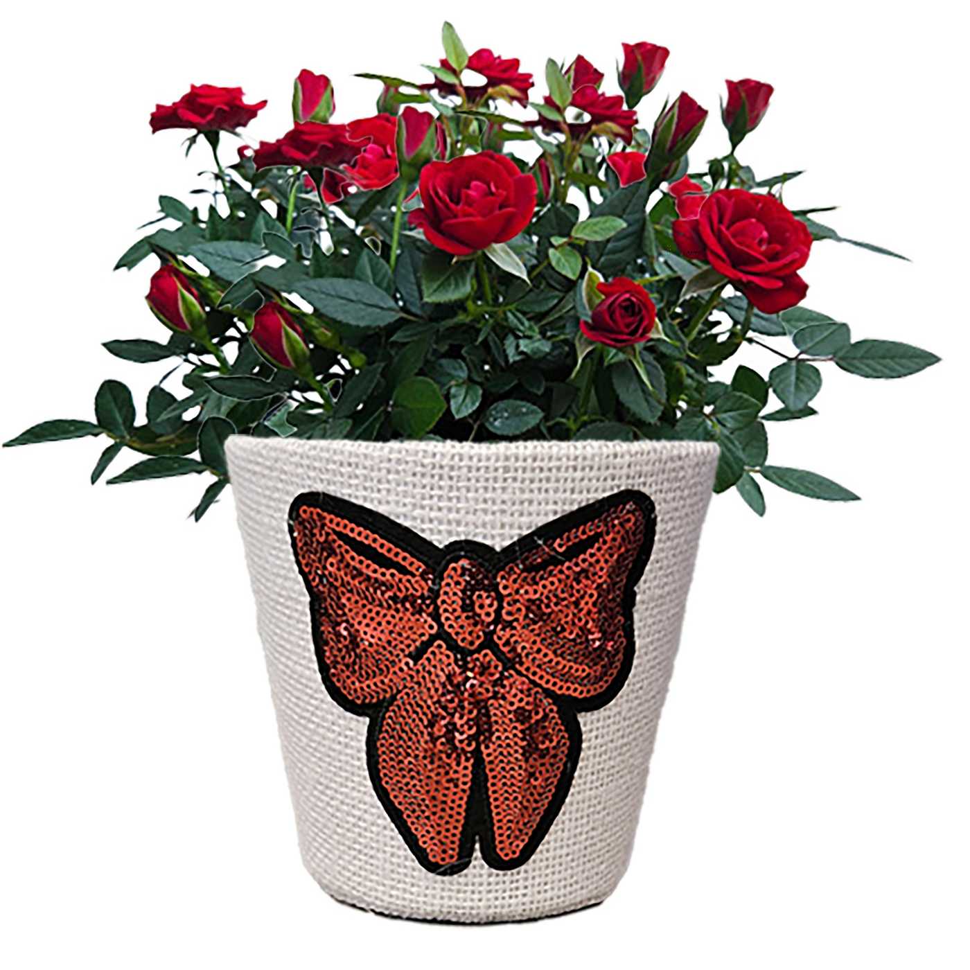 BLOOMS by H-E-B 4" Mini Rose Rhinestone; image 1 of 2