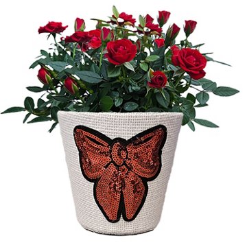 BLOOMS by H-E-B 4" Mini Rose Rhinestone