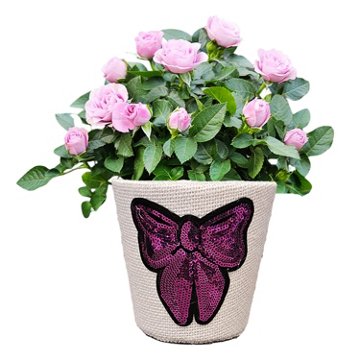 BLOOMS by H-E-B 4" Mini Rose Rhinestone