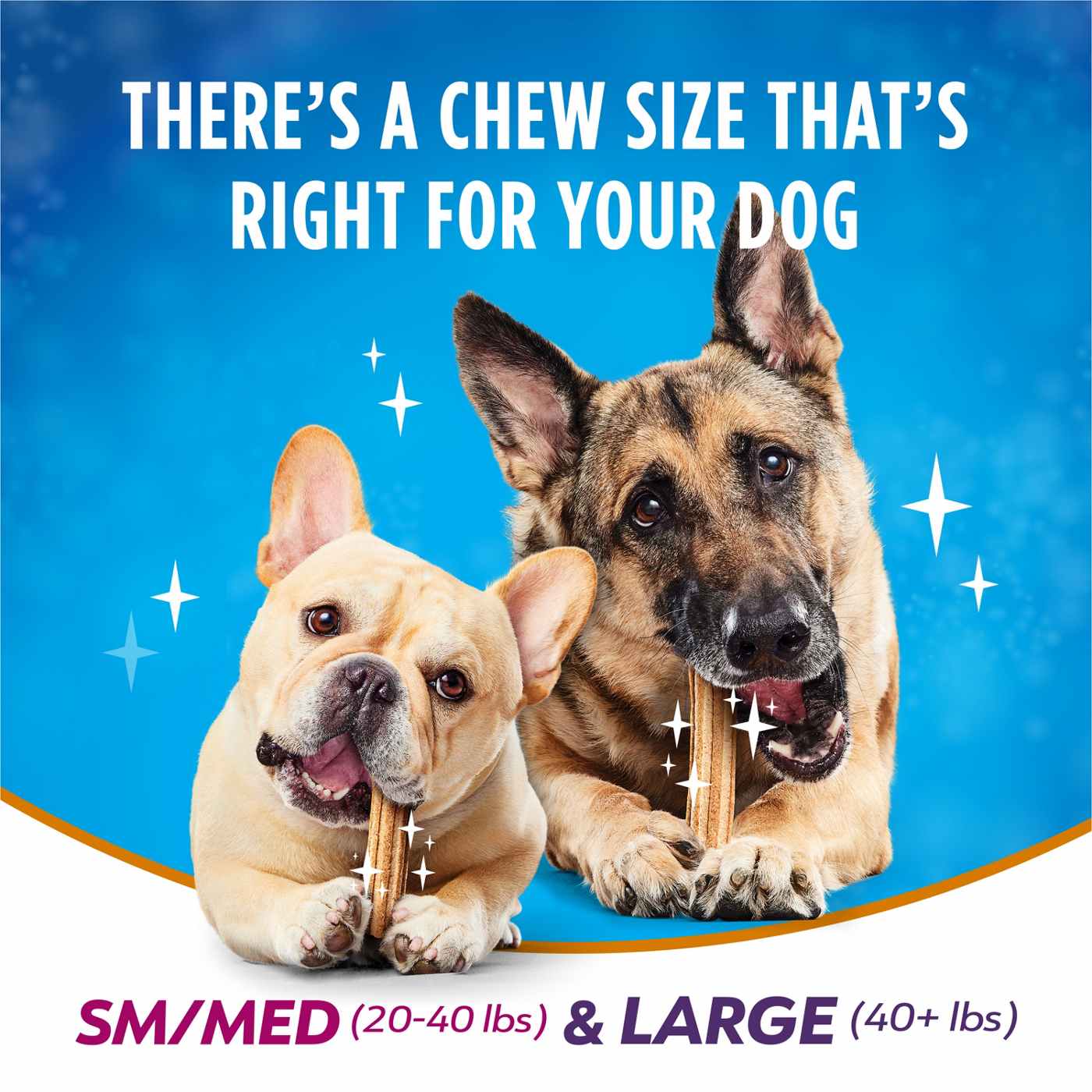 DentaLife Plus Immune Support Large Dog Treats; image 7 of 7