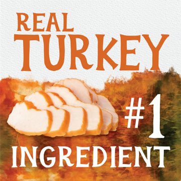 Triumph Free Spirit Turkey Veggie & Cranberry Jerky Bites Dog Treats, 20 oz