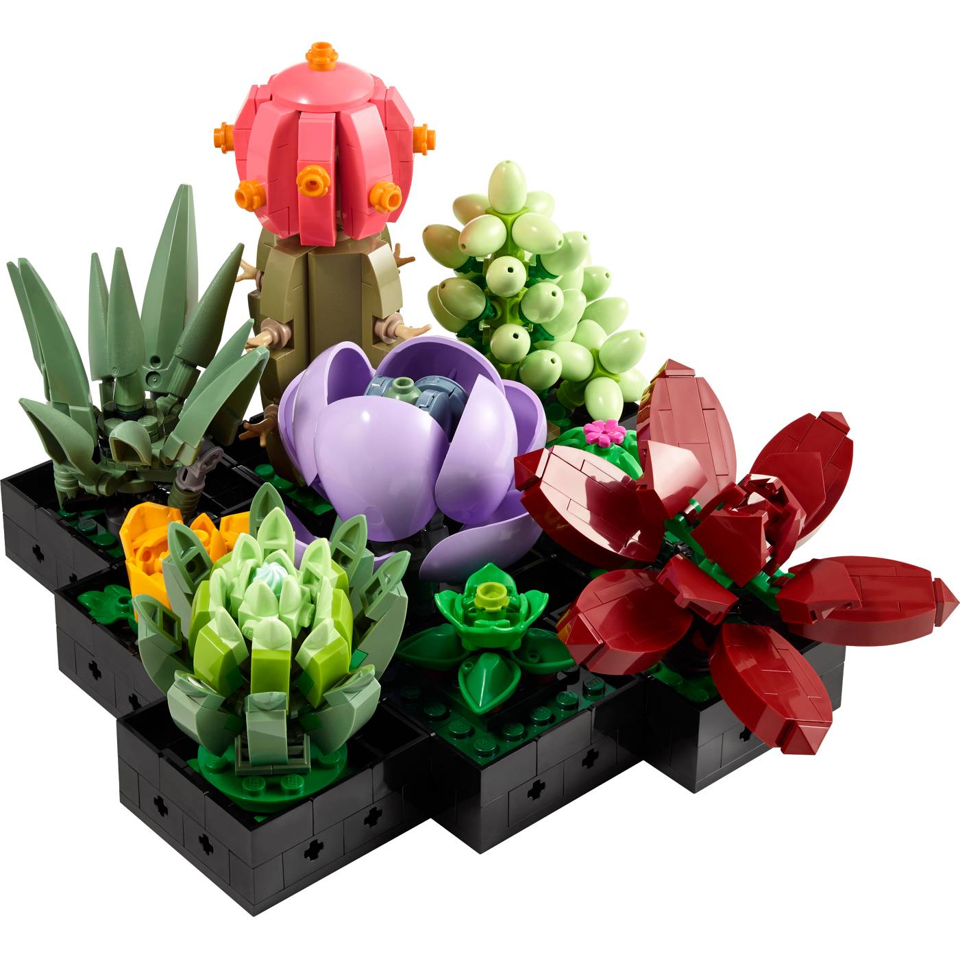 LEGO Icons Botanical Collection Succulents Set; image 1 of 2