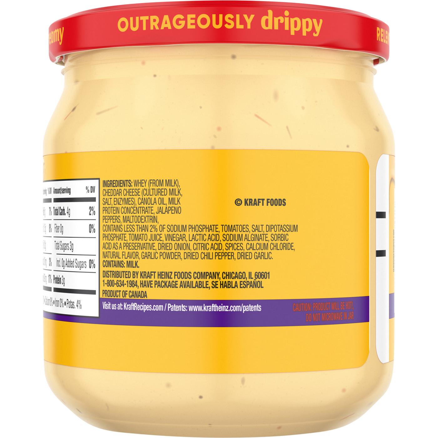 Velveeta Queso Blanco Dip; image 2 of 5