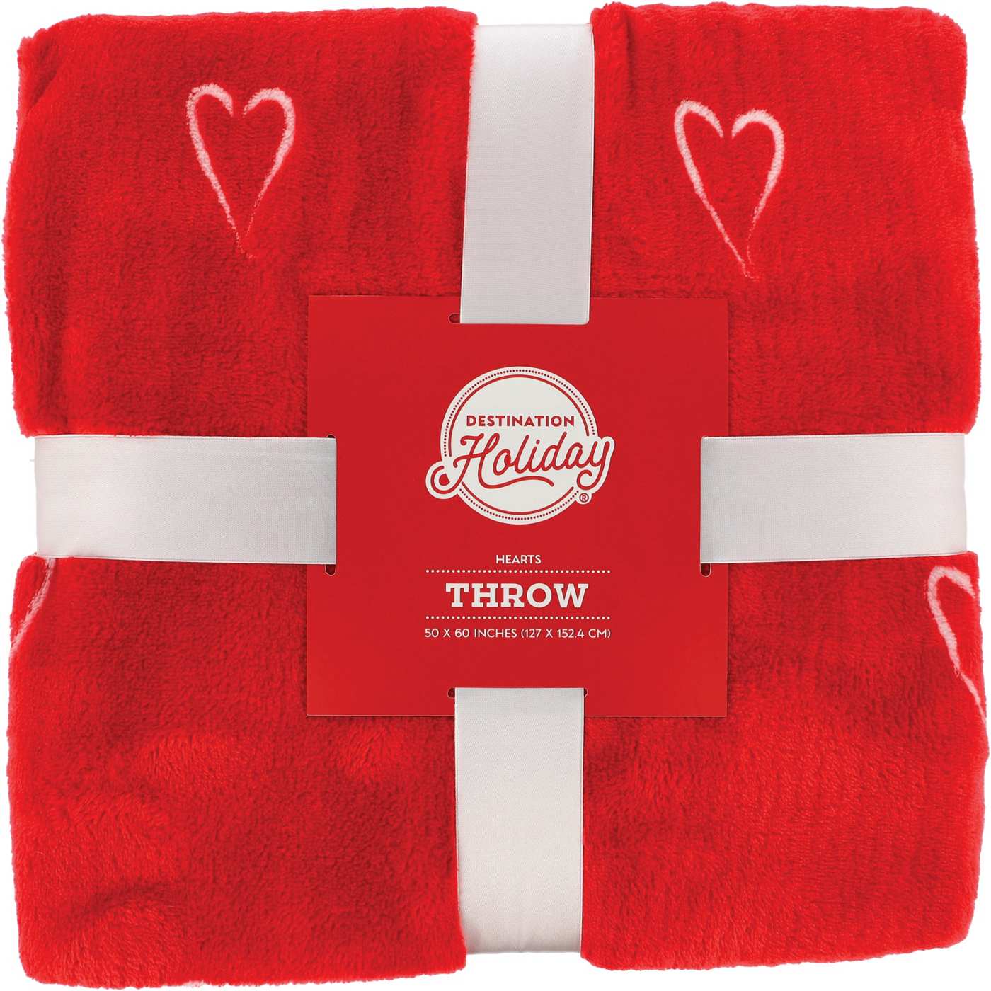 Destination Holiday Valentine's Throw Blanket - Red Mini Hearts; image 1 of 2