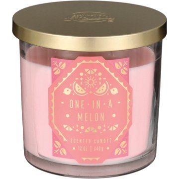 Destination Holiday One in a Melon Scented Candle, 12 oz