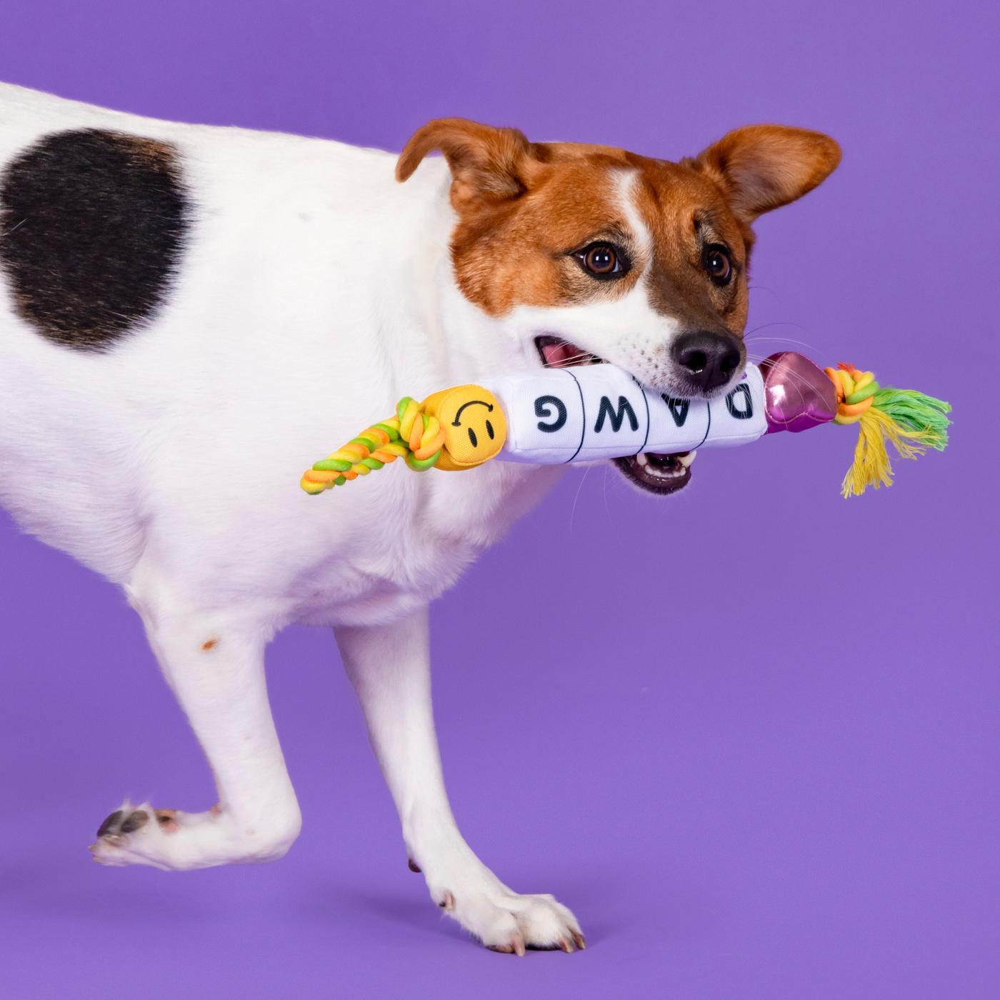 Woof & Whiskers Beads On Rope; image 2 of 4