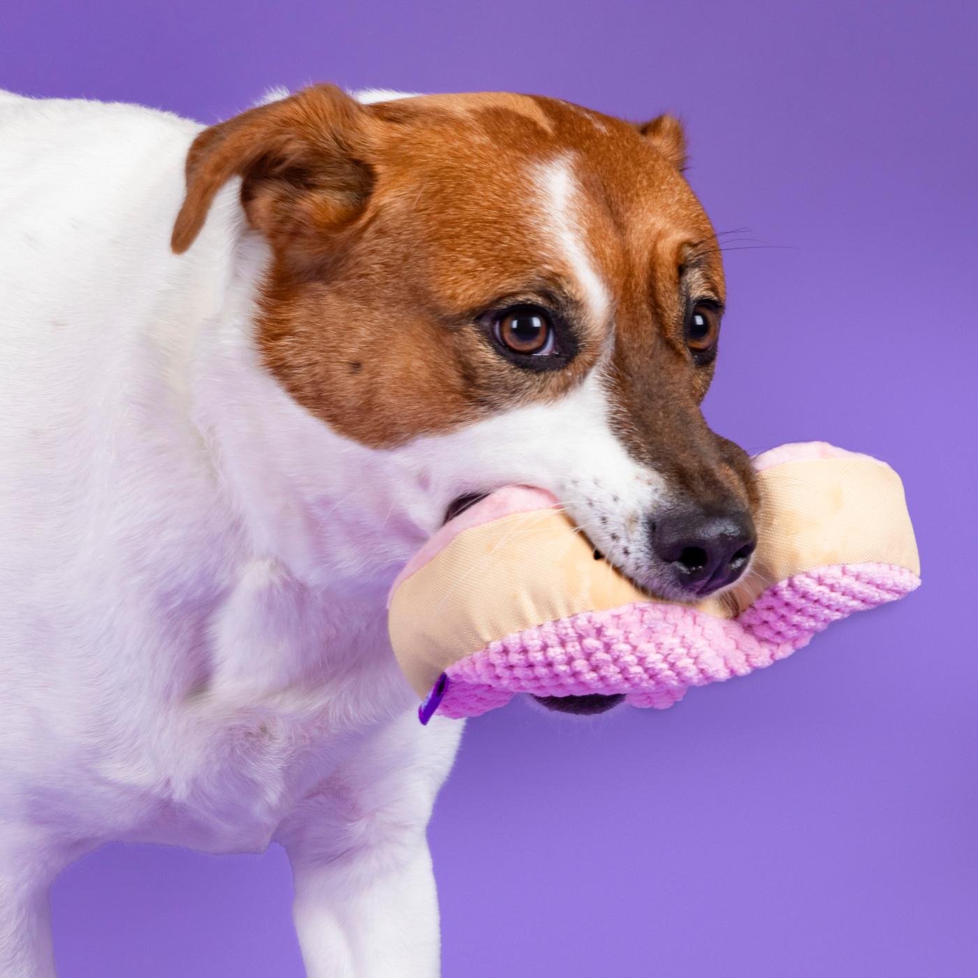 Woof & Whiskers Animal Cracker; image 5 of 5