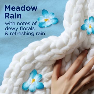Downy In-Wash Softening Booster Beads - Comfy Cozy + Meadow Rain 