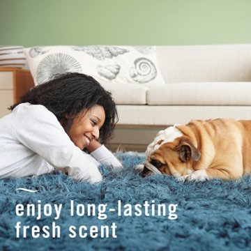 Febreze Odor-Fighting Fabric Refresher - Pet Odor Fight, 14.8 oz