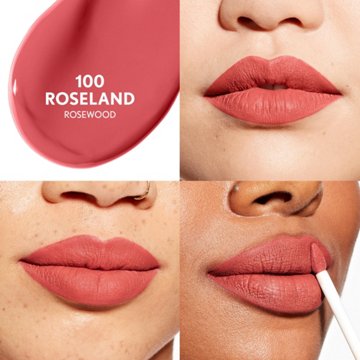 Cover Girl Outlast Forever Velvet Pigment Lipstick - Roseland