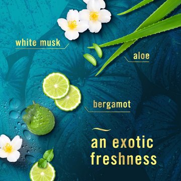 Febreze Luxe Air Freshener Odor-Fighting Room Spray - Rainforest
