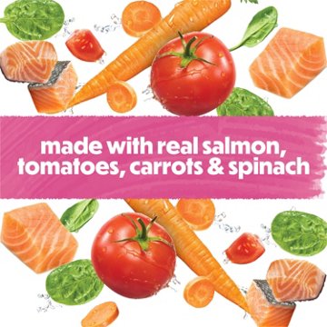 Beneful Small Breed Wet Dog Food, IncrediBites Loaf With Real Salmon Recipe