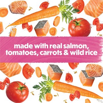 Beneful Purina Small Breed High Protein Wet Dog Food With Gravy IncrediBites - Real Salmon