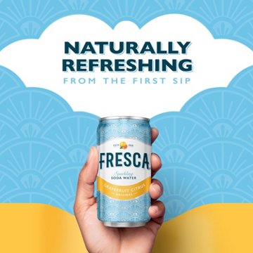 Fresca Citrus Soda Soft Drink Fridge Pack 10 pk Mini Cans