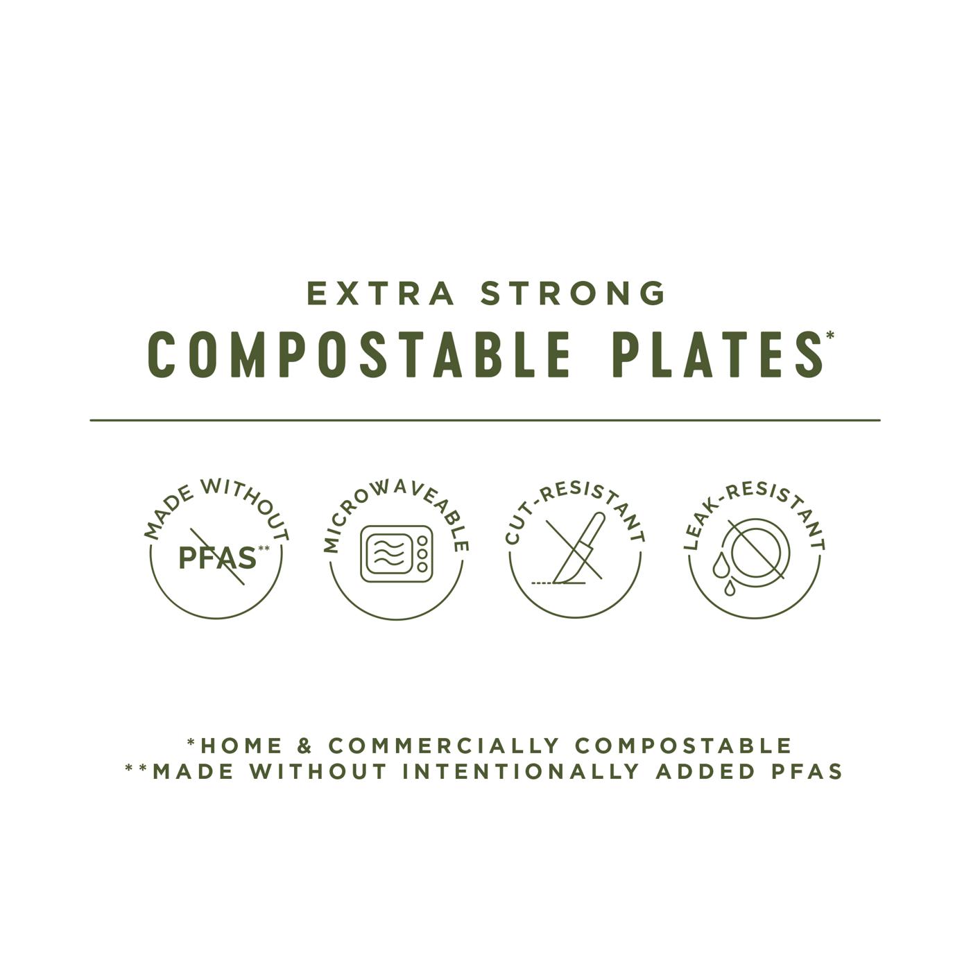 Field & Future by H-E-B Extra Strong Compostable Paper Plates, 10 in; image 2 of 7