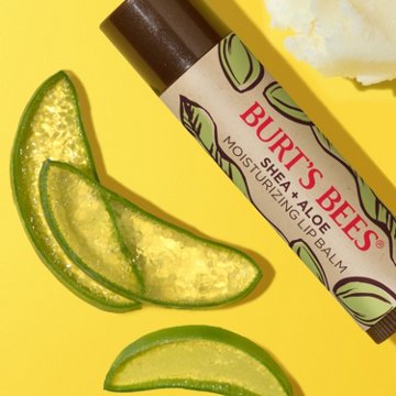 Burt's Bees Moisturizing Lip Balm Pack - Shea & Aloe