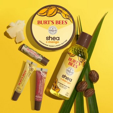 Burt's Bees Moisturizing Lip Balm Pack - Shea & Aloe