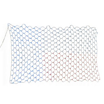 Destination Holiday Texas Flag Light Curtain, 6.5' x 3.2'