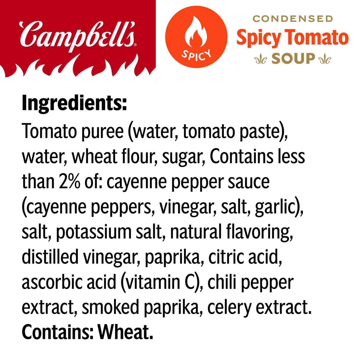Campbell's Spicy Tomato Soup; image 4 of 6