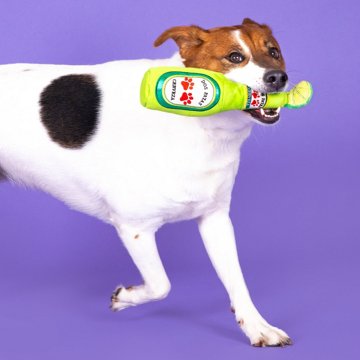 Woof & Whiskers Dos Patas Dog Toy