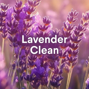 Clorox Foaming Toilet Bomb Bowl Cleaner - Lavender Clean, 5 ct