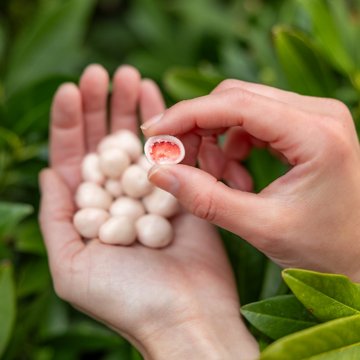 Tru Fru Freeze Dried Strawberries & Crème