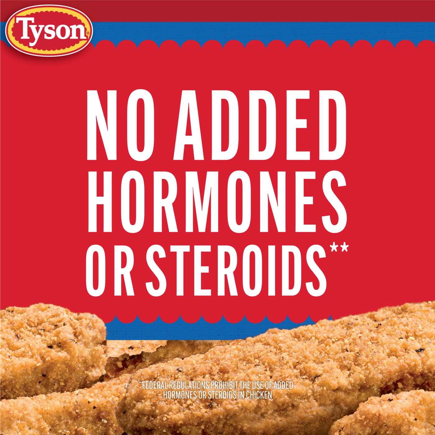 Tyson Frozen Steak Fingers with Gravy Mix; image 4 of 7