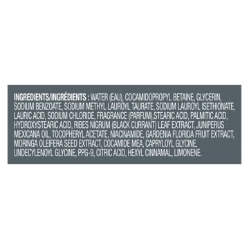 Dove Men+Care Plant-Based Moisturizing Body Wash - Blackcurrant & Cedarwood