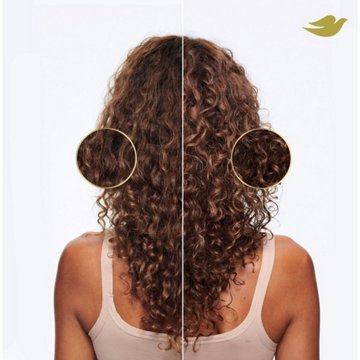 Dove Coconut & Hydration Damage Therapy Conditioner