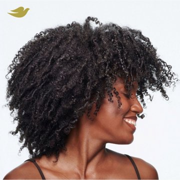 Dove Amino Curl Repair Damage Therapy Sulfate-Free Shampoo