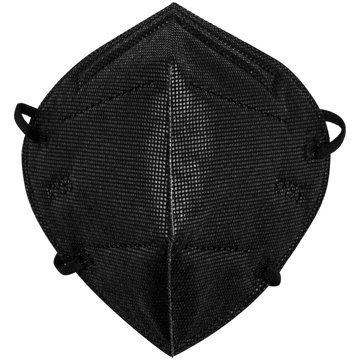 RM Wellness Disposable KN95 Face Masks - Black, 2 ct