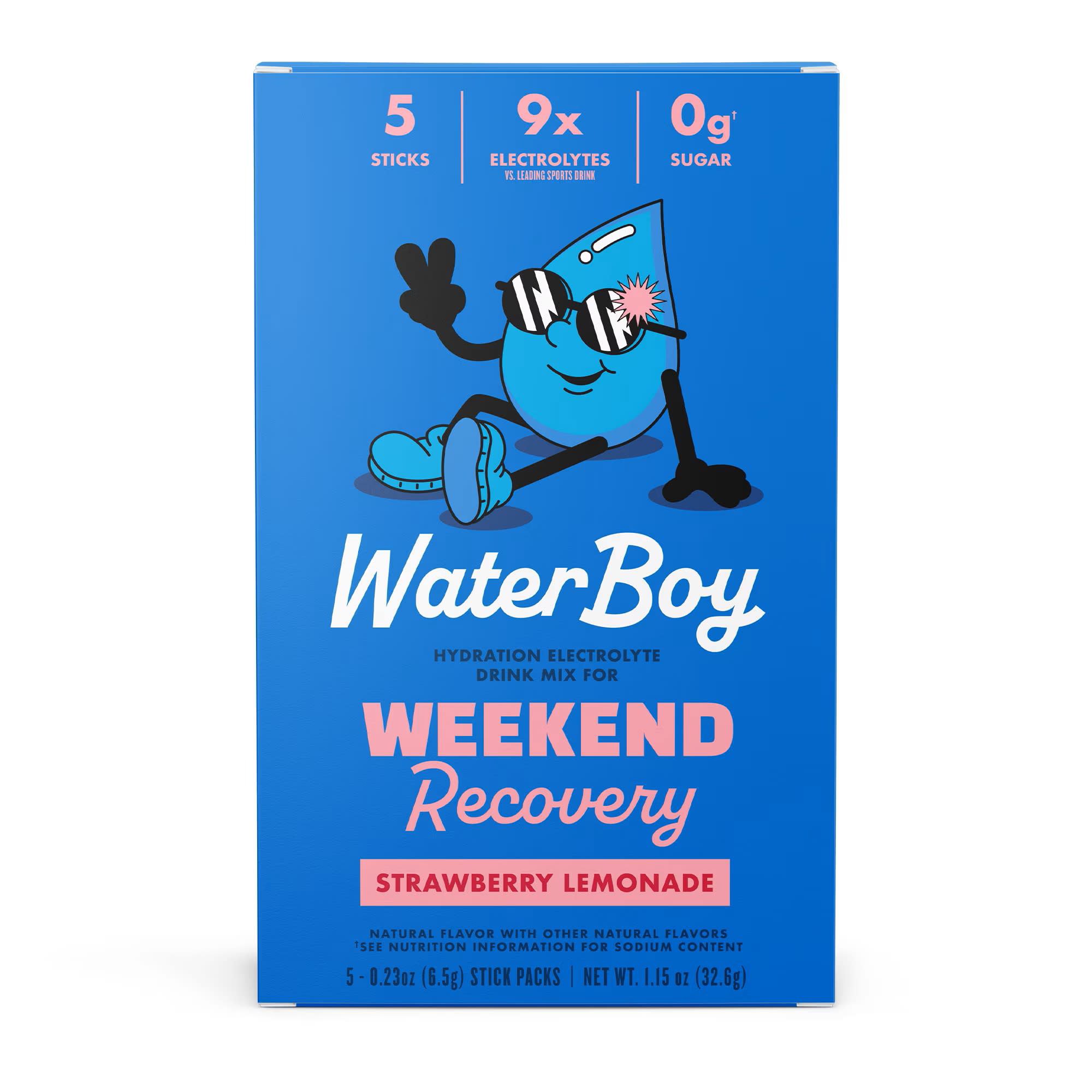Waterboy Weekend Recovery Hydration Electrolyte Drink Mix Packets ...