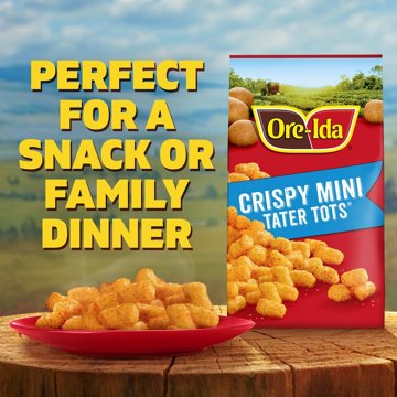 Ore-Ida Crispy Mini Tater Tots, 28 oz