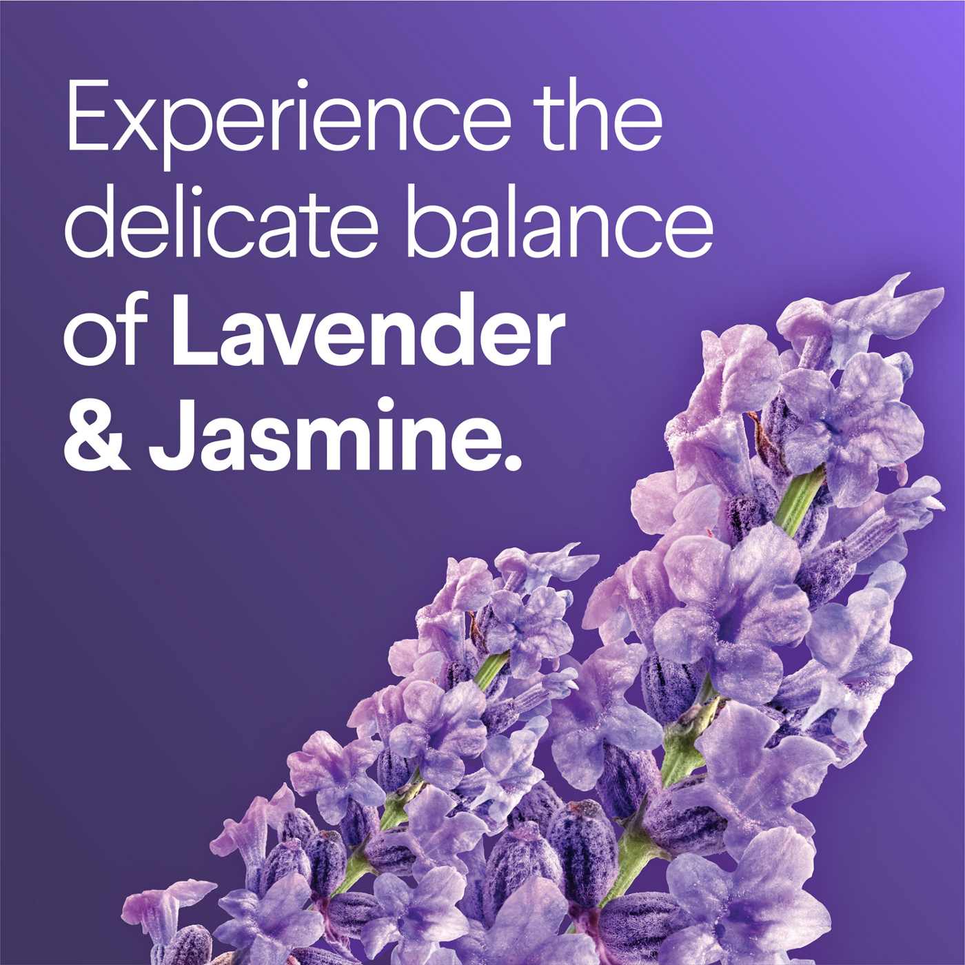 Clorox Scentiva Toiletwand Refills - Lavender & Jasmine; image 3 of 10