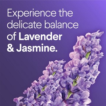 Clorox Scentiva Toiletwand Refills - Lavender & Jasmine, 10 ct