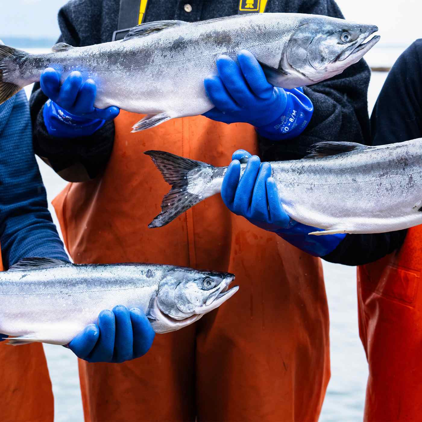 Circle Seafoods Frozen Alaska Pink Salmon Fillets; image 7 of 9