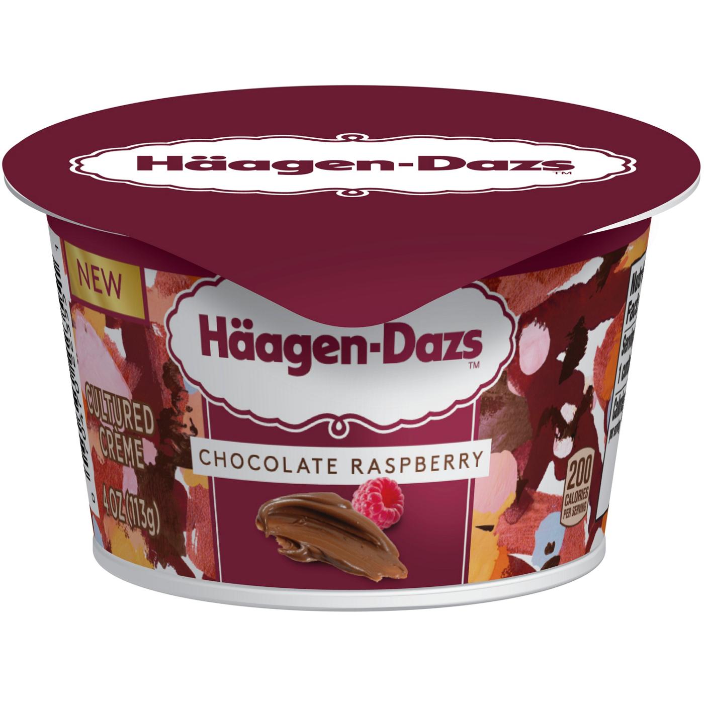 Haagen-Dazs Cultured Creme - Chocolate Raspberry ; image 1 of 2