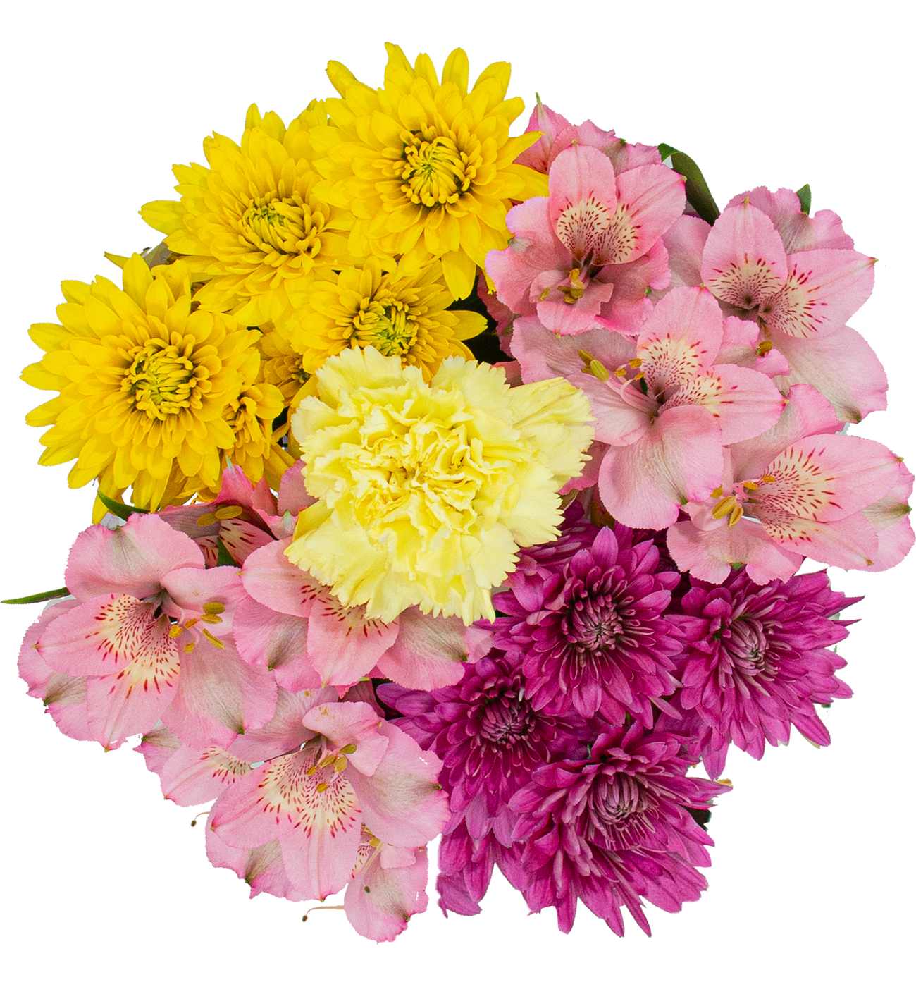 BLOOMS by H-E-B Grower Bunch; image 2 of 13