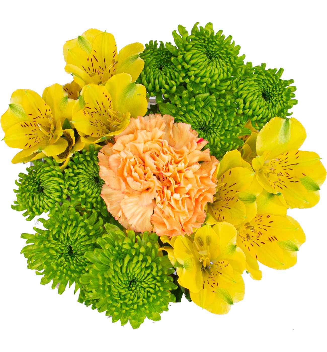 BLOOMS by H-E-B Grower Bunch; image 5 of 13