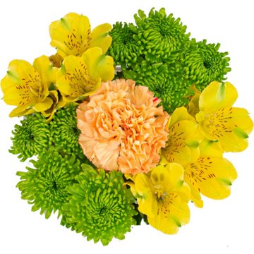 BLOOMS by H-E-B Grower Bunch