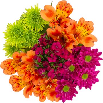 BLOOMS by H-E-B Grower Bunch