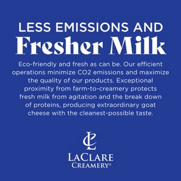 LaClare Creamery Goat Cheese Log - Blueberry Vanilla